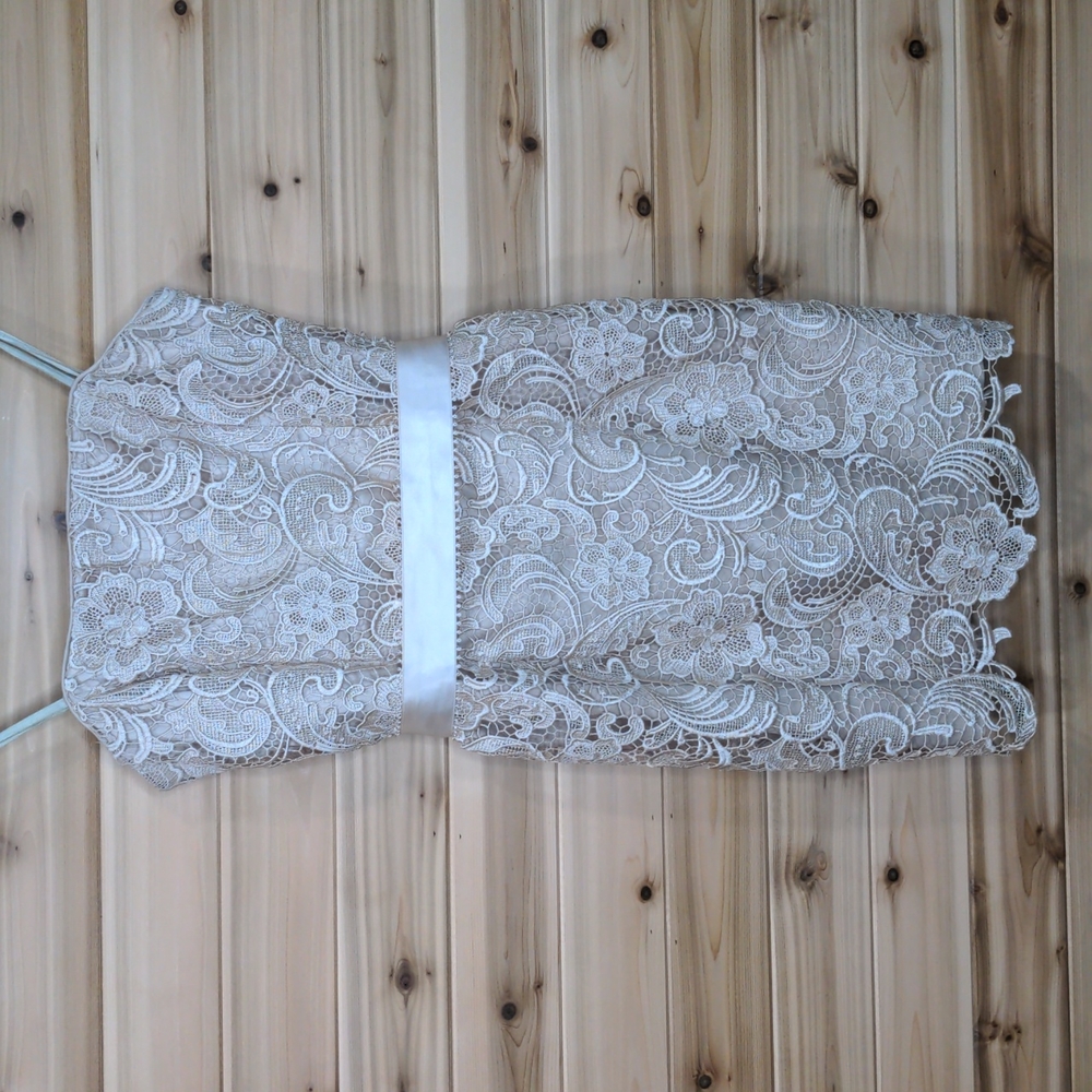 Adrianna Papell Boutique Strapless Nude Lace Dress